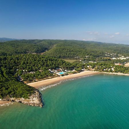 Crovatico Club Vacanze Vieste Ngoại thất bức ảnh
