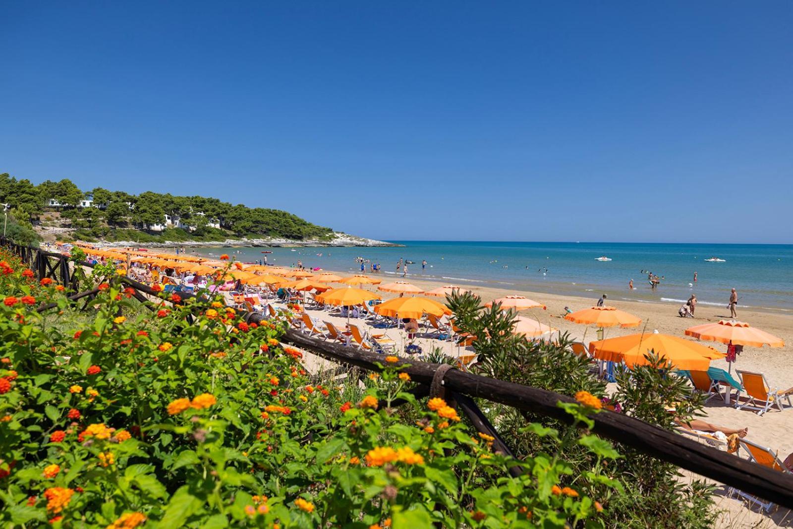 Crovatico Club Vacanze Vieste Ngoại thất bức ảnh